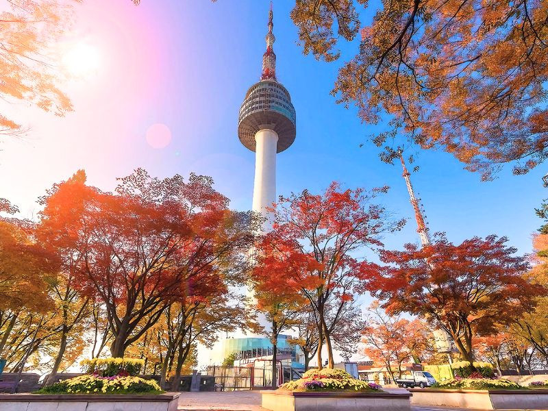 CHÀO MỪNG ĐẠI LỄ 30/04 SEOUL – ĐẢO NAMI – THÁP NAMSAN  CÔNG VIÊN EVERLAND – CẢNH PHÚC CUNG – THƯ VIỆN STAR FIELD COEX