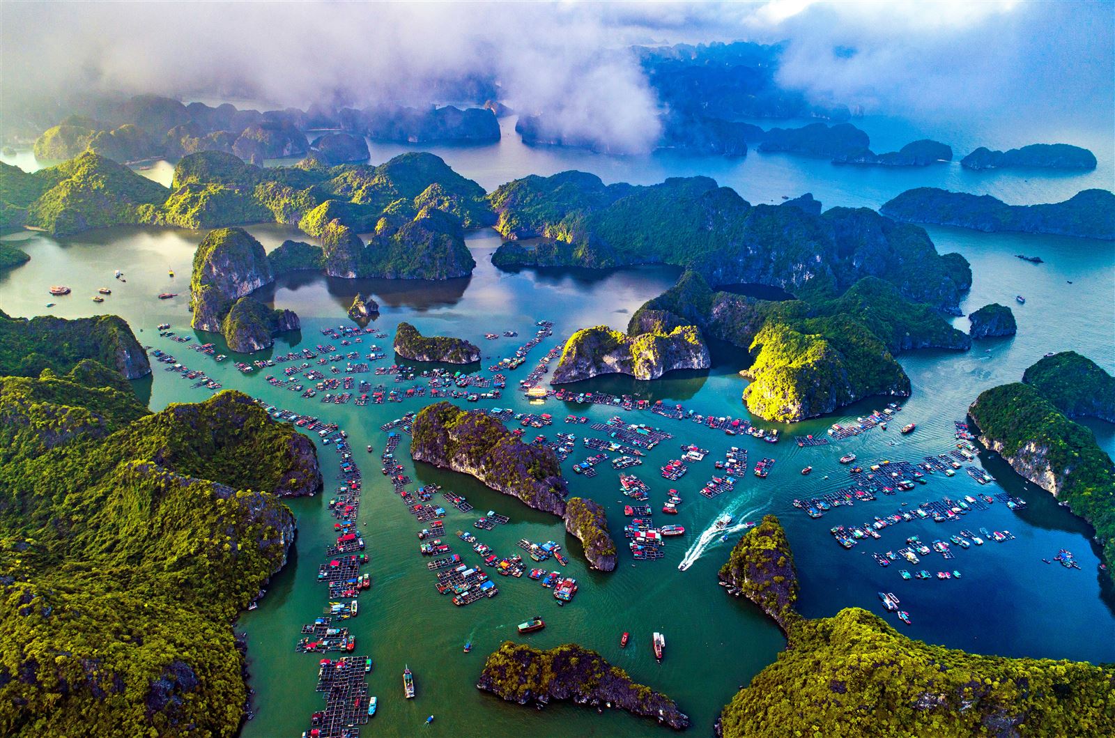 CELINA OF THE SEA CRUISE