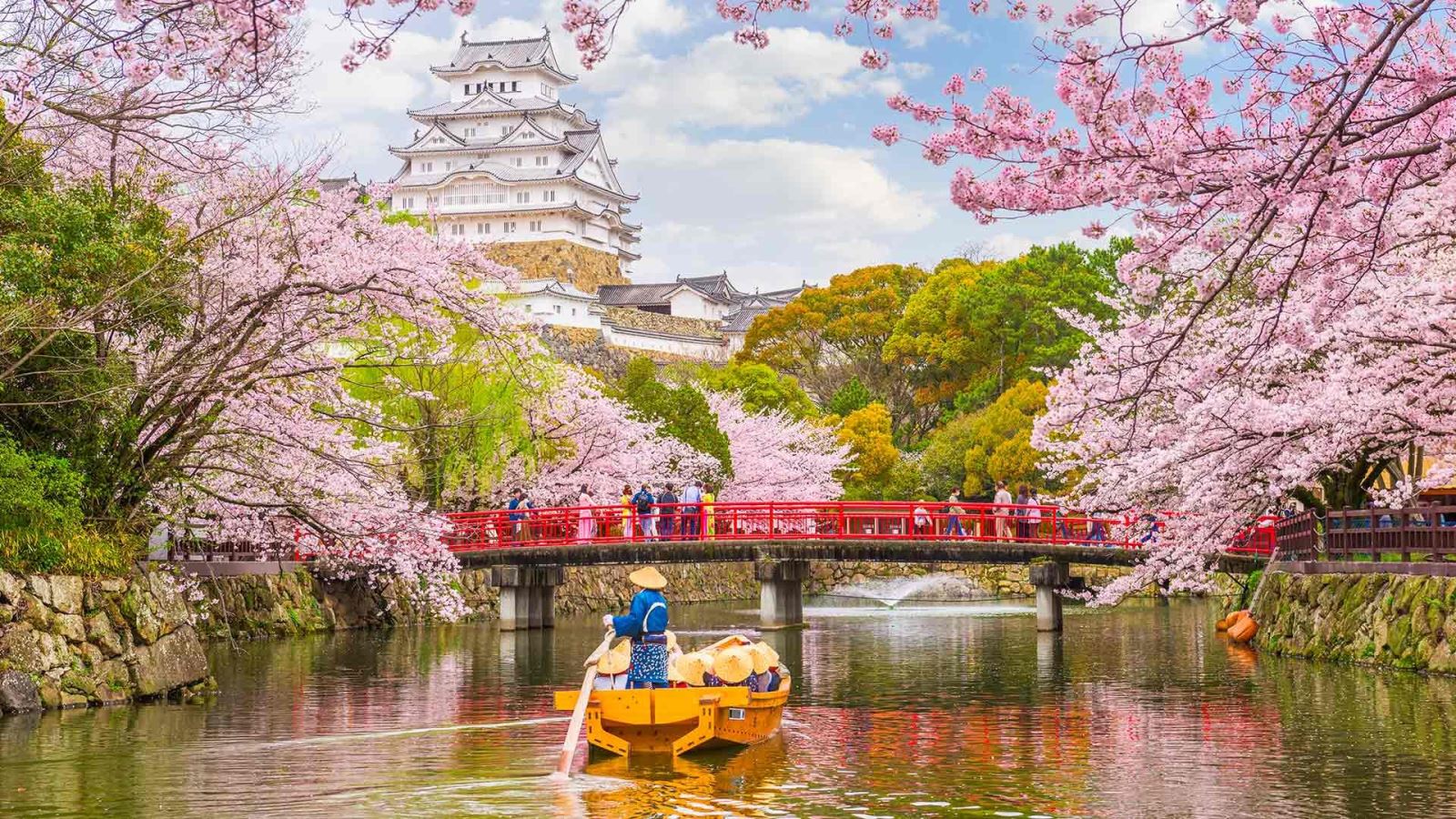 MÙA HOA ANH ĐÀO NHẬT BẢN~ĐÀ NẴNG - NARA - OSAKA – KYOTO – PHÚ SĨ  – TOKYO