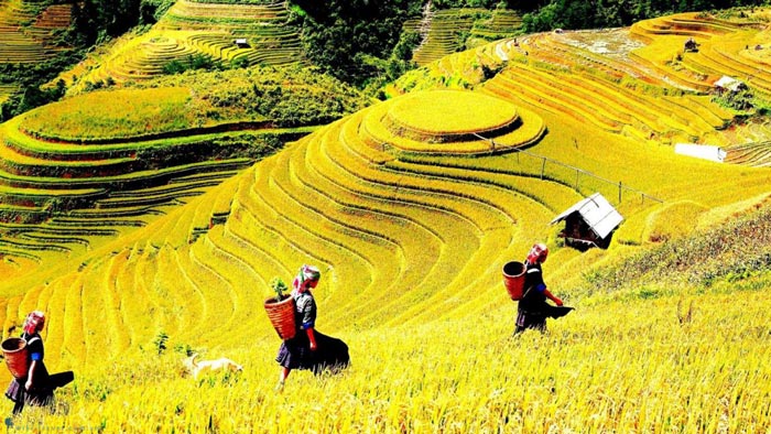 SAPA 2 DAYS 1 NIGHT  TOUR