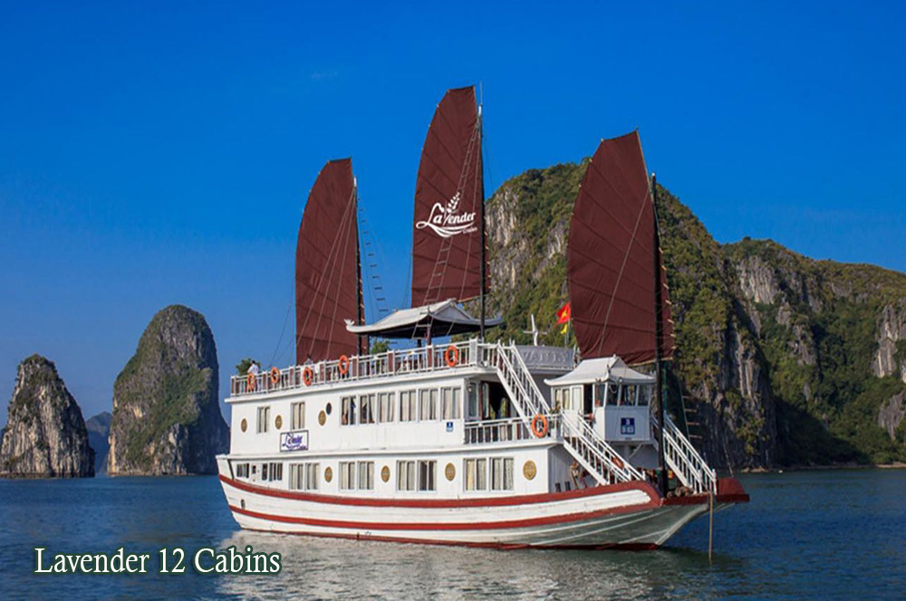 THAM QUAN VỊNH HẠ LONG 
