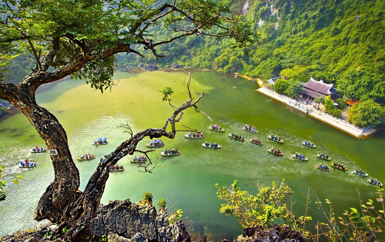 DU XUÂN MIỀN ĐẤT KINH KỲ ~ HÀ NỘI - BÁI ĐÍNH - TRÀNG AN - HẠ LONG - YÊN TỬ