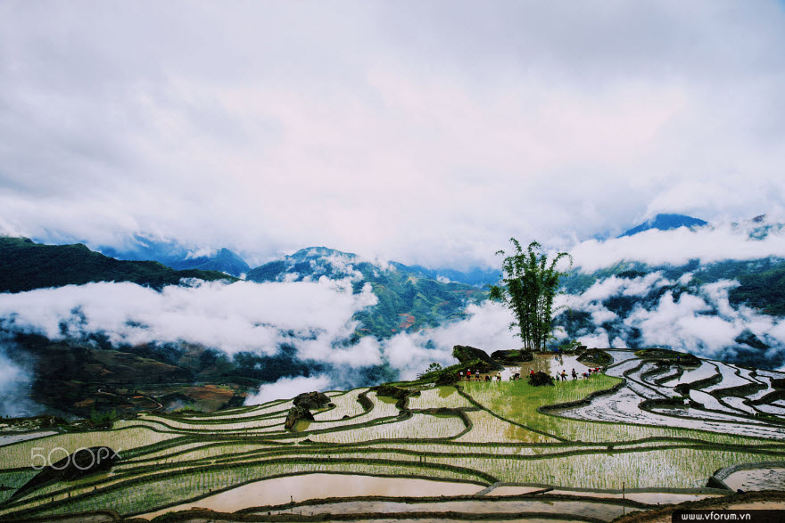 COMBO ĐÀ NẴNG -  SAPA 3 ngày ~ SAPA