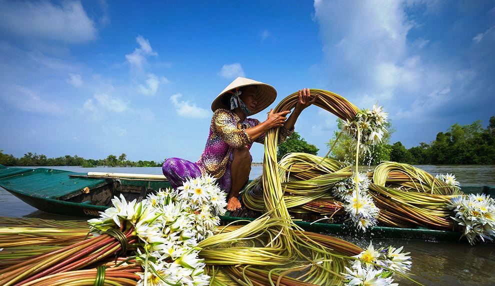 Tour Miền Tây ~ Cần Thơ - Cà Mau - An Giang