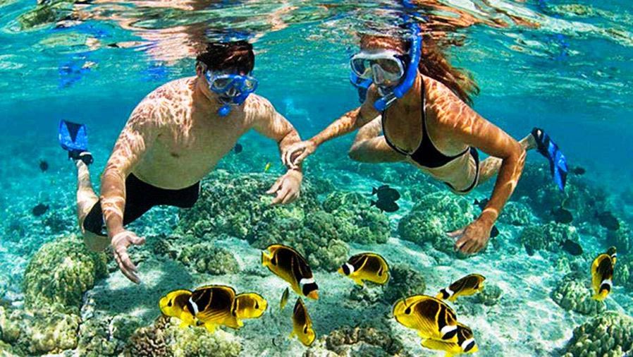 CHAM ISLAND - DIVING & SNORKELING