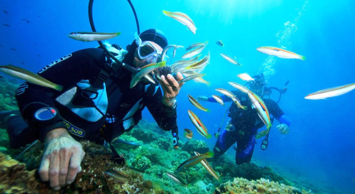 CHAM ISLAND - DIVING & SNORKELING